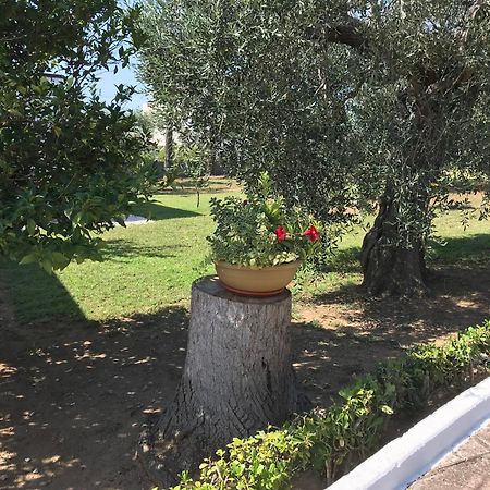 Villa Il Carrubo - Basilicata Pisticci Esterno foto