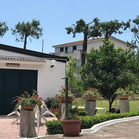 Villa Il Carrubo - Basilicata Pisticci Esterno foto