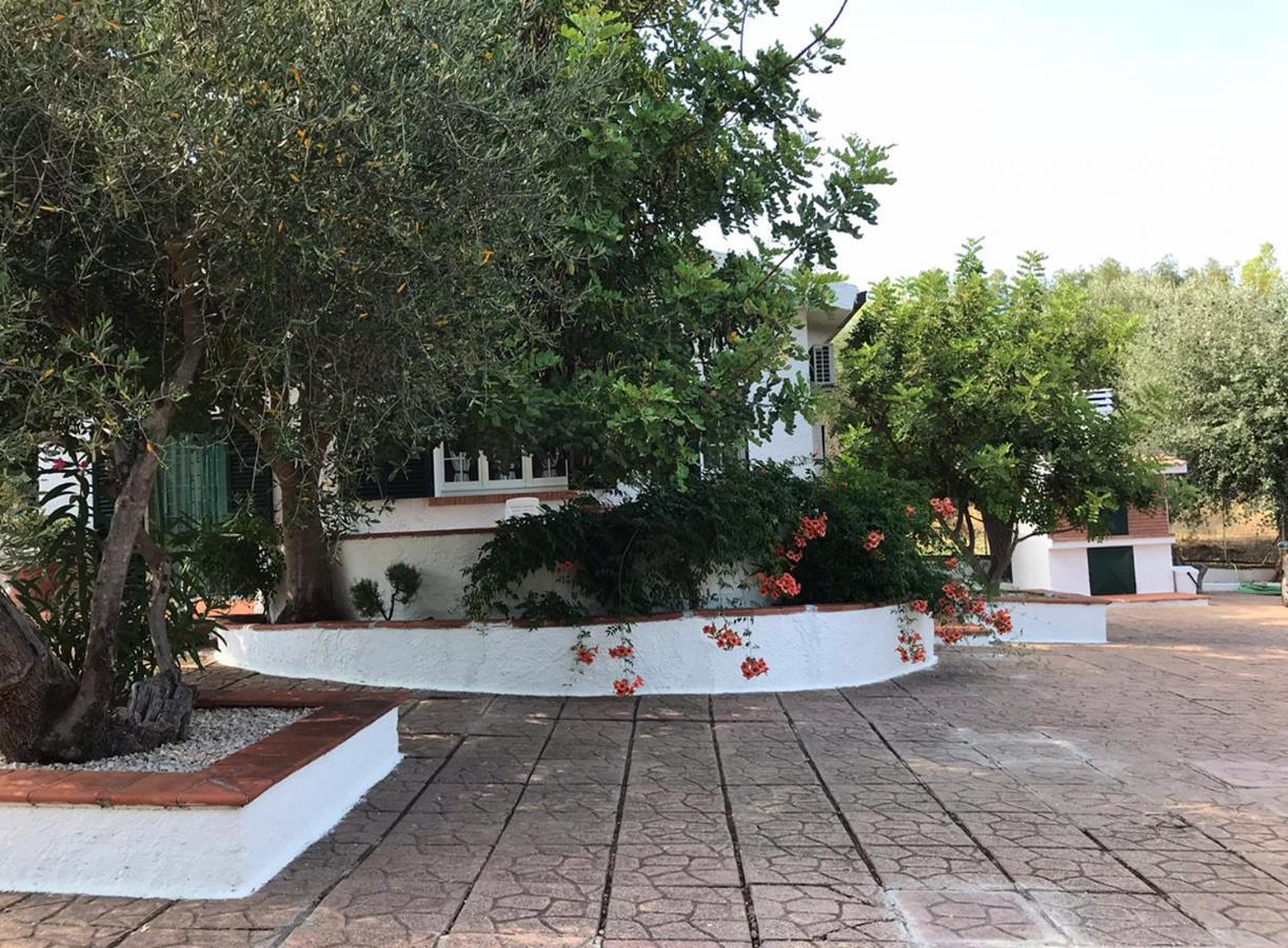 Villa Il Carrubo - Basilicata Pisticci Esterno foto