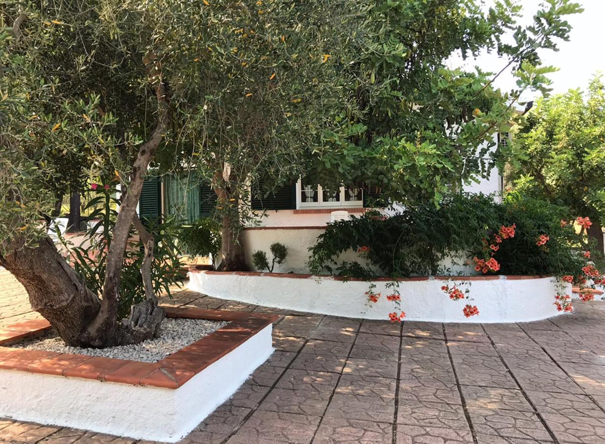 Villa Il Carrubo - Basilicata Pisticci Esterno foto
