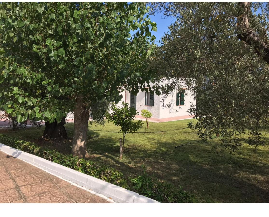 Villa Il Carrubo - Basilicata Pisticci Esterno foto