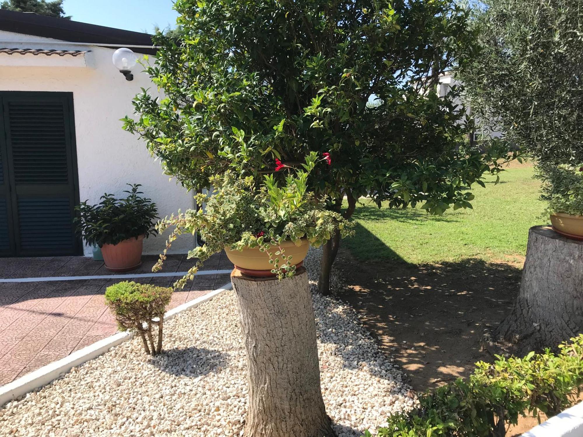 Villa Il Carrubo - Basilicata Pisticci Esterno foto