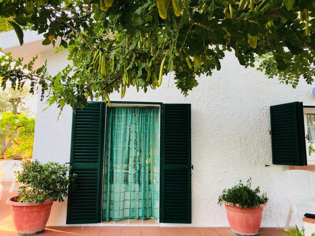Villa Il Carrubo - Basilicata Pisticci Esterno foto